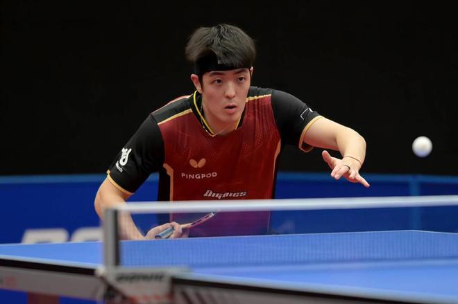 本文将深入 本文将深入