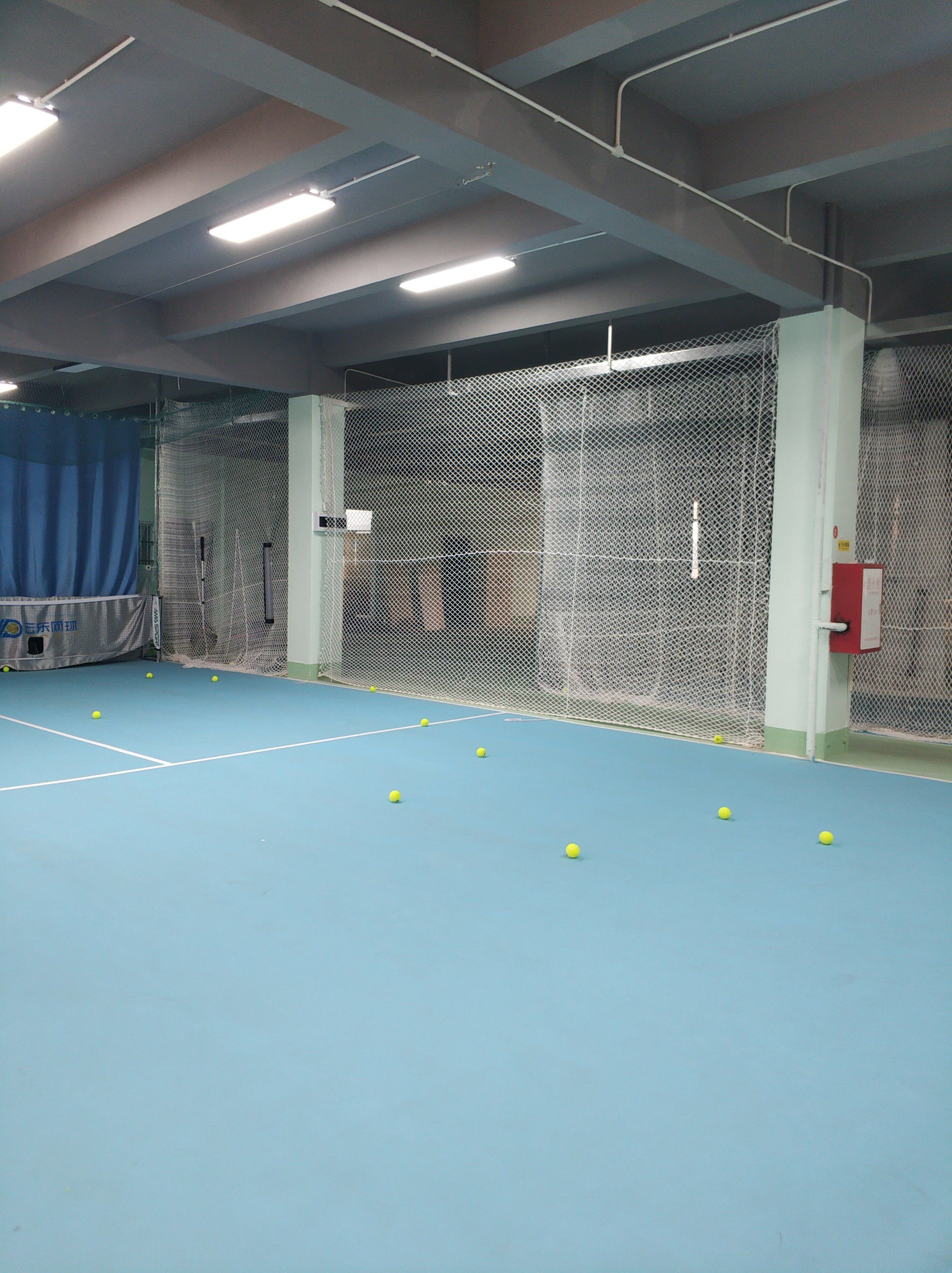 正是她近年 正是她近年